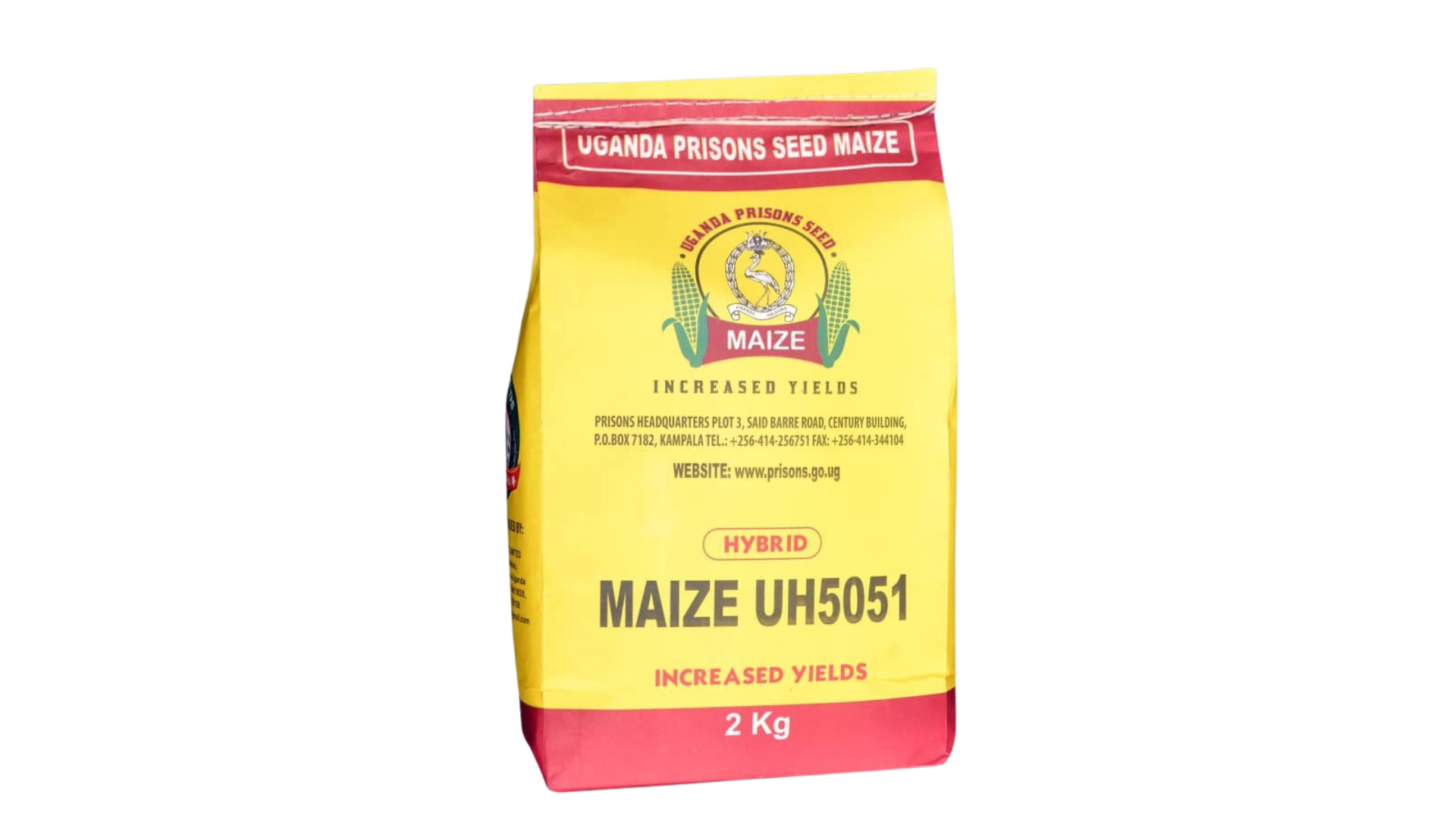 Maize UH5051